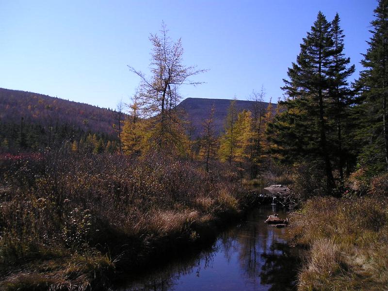 Zeacliff (6).JPG - The trail passes some ponds and streams with several area's offering nice views.